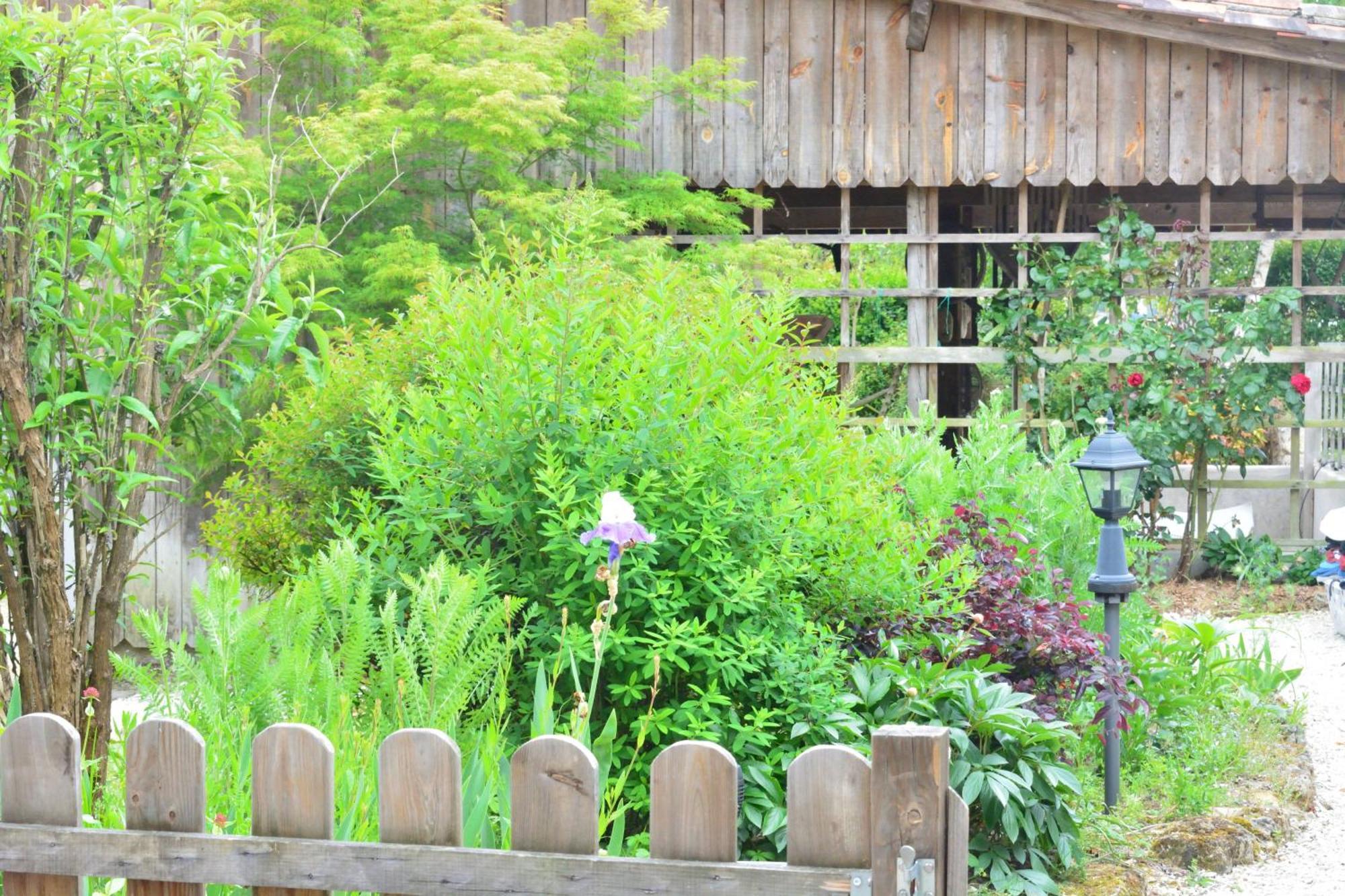 Gites Le Clos Du Verger Maurens  外观 照片